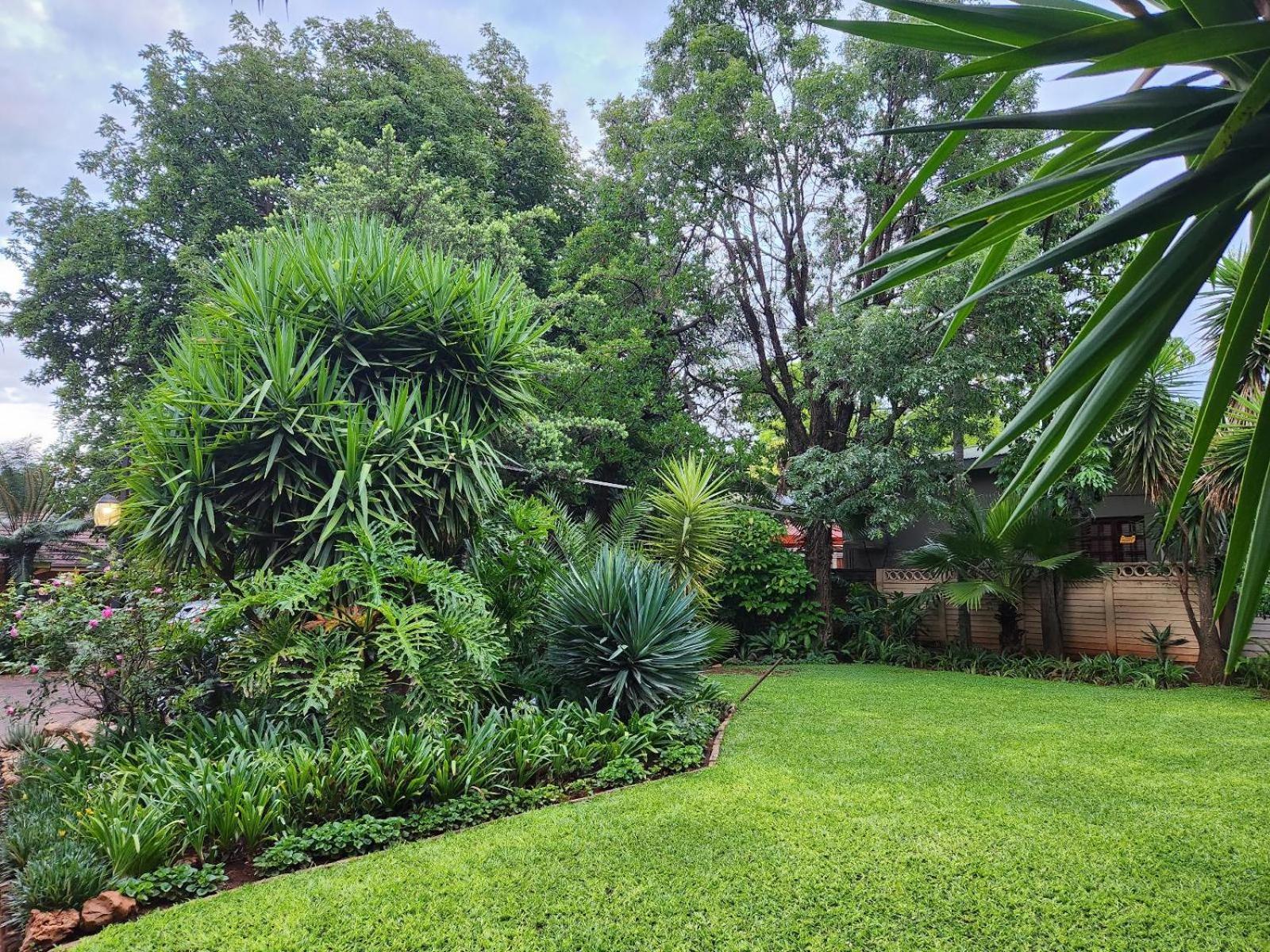 Tree Aloe Guest House Mokopane Dış mekan fotoğraf